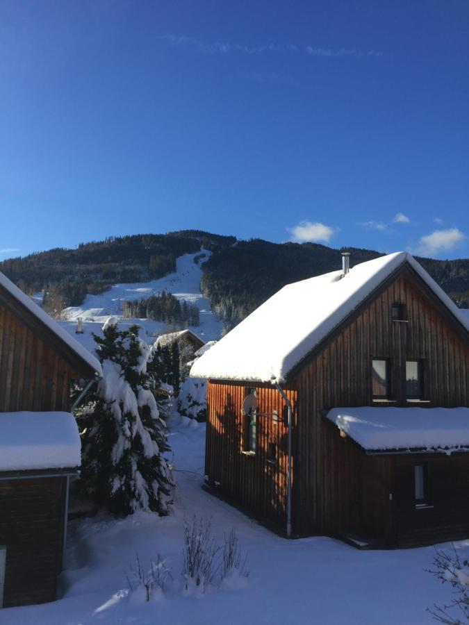 Alpenferienhaus Kreischberg Sankt Lorenzen ob Murau Eksteriør billede